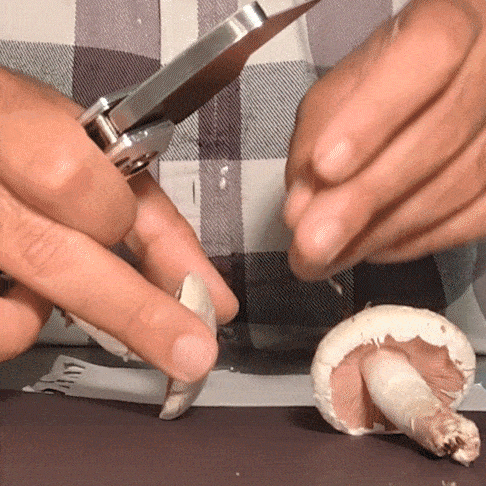 slicing_shroom.gif